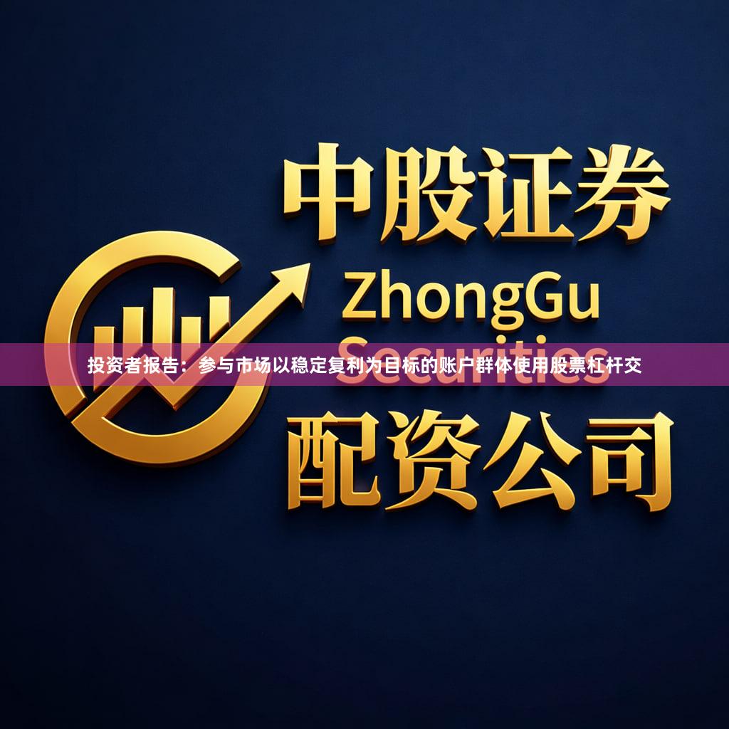 投资者报告：参与市场以稳定复利为目标的账户群体使用股票杠杆交