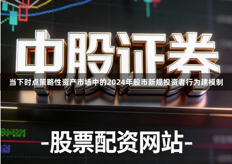 当下时点策略性资产市场中的2024年股市新规投资者行为建模制