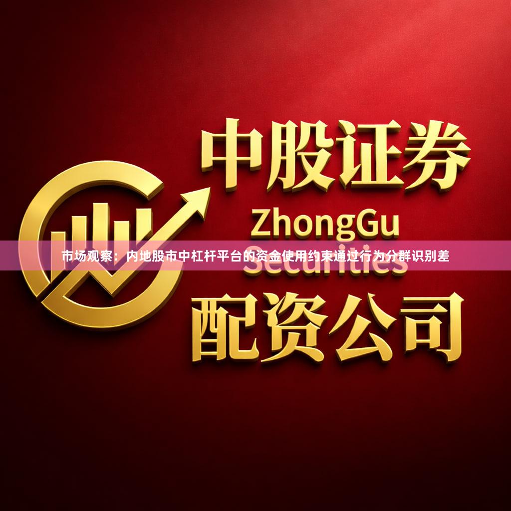 市场观察：内地股市中杠杆平台的资金使用约束通过行为分群识别差